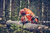 Sågkedja C35 .325 Sågkedja C35 .325