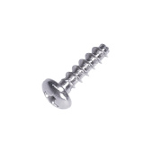 Screw Screw