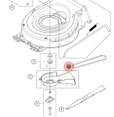 Belt Belt