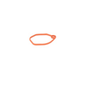 Gasket carburettor Gasket carburettor
