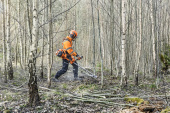 Husqvarna 545FXT Skogspaket Husqvarna 545FXT Skogspaket