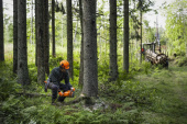 Husqvarna 450X Motorsåg Husqvarna 450X Motorsåg